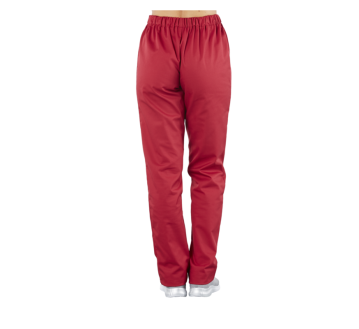Pantalon de travail PACO Bordeaux Dos